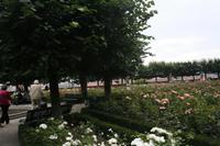 Im Rosengarten Bamberg &ndash; &copy; Sylvia Sann (Eberhardt TRAVEL)