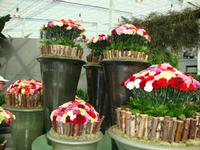 Venlo Floriade &ndash; &copy; Harald Kühne (Eberhardt TRAVEL)