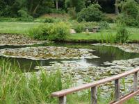 Wörlitzer Park