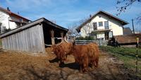 Gut Aiderbichl 20190330 152428 &ndash; &copy; Marlies Thrum (Eberhardt TRAVEL)