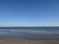 Traumhafte Ostsee