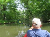 Paddeltour im Spreewald &ndash; &copy; Kristin Weigel (Eberhardt TRAVEL)