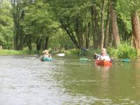 Paddeltour im Spreewald - Südumfluter