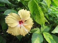 Im Tropical Islands &ndash; &copy; Kristin Weigel (Eberhardt TRAVEL)