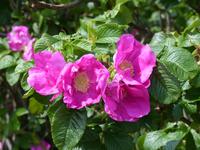 P1110687 &ndash; &copy; Margret van Blokland (Eberhardt TRAVEL)