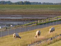P1110730 &ndash; &copy; Margret van Blokland (Eberhardt TRAVEL)