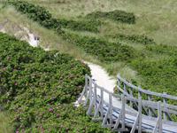 P1110825 &ndash; &copy; Margret van Blokland (Eberhardt TRAVEL)