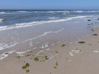 P1110837 &ndash; &copy; Margret van Blokland (Eberhardt TRAVEL)