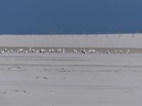 P1110859 &ndash; &copy; Margret van Blokland (Eberhardt TRAVEL)