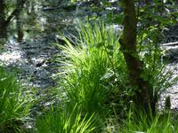 P1110945 &ndash; &copy; Margret van Blokland (Eberhardt TRAVEL)