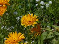 P1120043 &ndash; &copy; Margret van Blokland (Eberhardt TRAVEL)