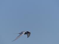 P1120135 &ndash; &copy; Margret van Blokland (Eberhardt TRAVEL)