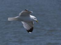 P1120137 &ndash; &copy; Margret van Blokland (Eberhardt TRAVEL)