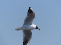 P1120142 &ndash; &copy; Margret van Blokland (Eberhardt TRAVEL)