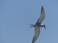 P1120145 &ndash; &copy; Margret van Blokland (Eberhardt TRAVEL)