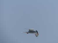 P1120146 &ndash; &copy; Margret van Blokland (Eberhardt TRAVEL)
