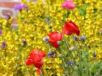 P1120175 &ndash; &copy; Margret van Blokland (Eberhardt TRAVEL)