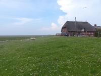 P1120199 &ndash; &copy; Margret van Blokland (Eberhardt TRAVEL)
