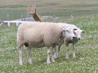 P1120200 &ndash; &copy; Margret van Blokland (Eberhardt TRAVEL)