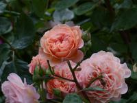 P1120212 &ndash; &copy; Margret van Blokland (Eberhardt TRAVEL)