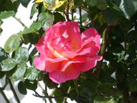 P1120317 &ndash; &copy; Margret van Blokland (Eberhardt TRAVEL)
