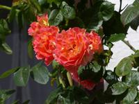 P1120318 &ndash; &copy; Margret van Blokland (Eberhardt TRAVEL)