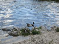 Hintersee &ndash; &copy; Heike Heinen (Eberhardt TRAVEL)