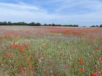 P1120412 &ndash; &copy; Margret van Blokland (Eberhardt TRAVEL)