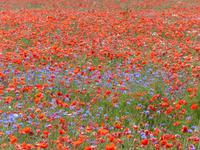 P1120422 &ndash; &copy; Margret van Blokland (Eberhardt TRAVEL)