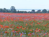 P1120429 &ndash; &copy; Margret van Blokland (Eberhardt TRAVEL)