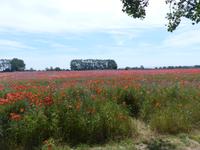 P1120430 &ndash; &copy; Margret van Blokland (Eberhardt TRAVEL)