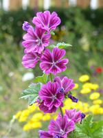 P1120590 &ndash; &copy; Margret van Blokland (Eberhardt TRAVEL)