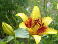 P1120642 &ndash; &copy; Margret van Blokland (Eberhardt TRAVEL)