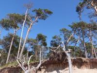 P1120771 &ndash; &copy; Margret van Blokland (Eberhardt TRAVEL)