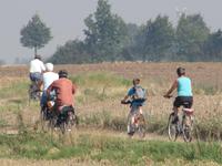 Ostseeradweg