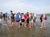 Wattwanderung - Nordseeküstenradweg &ndash; &copy; Jacob Spangenberg (Eberhardt TRAVEL)