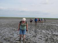 Wattwanderung - Nordseeküstenradweg &ndash; &copy; Jacob Spangenberg (Eberhardt TRAVEL)