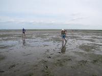 Wattwanderung - Nordseeküstenradweg &ndash; &copy; Jacob Spangenberg (Eberhardt TRAVEL)