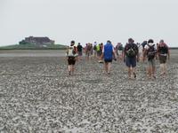 Wattwanderung - Nordseeküstenradweg &ndash; &copy; Jacob Spangenberg (Eberhardt TRAVEL)