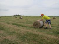auf der Hallig Nordstrandischmoor &ndash; &copy; Jacob Spangenberg (Eberhardt TRAVEL)