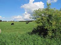 Nord-Ostsee-Kanal &ndash; &copy; Jacob Spangenberg (Eberhardt TRAVEL)