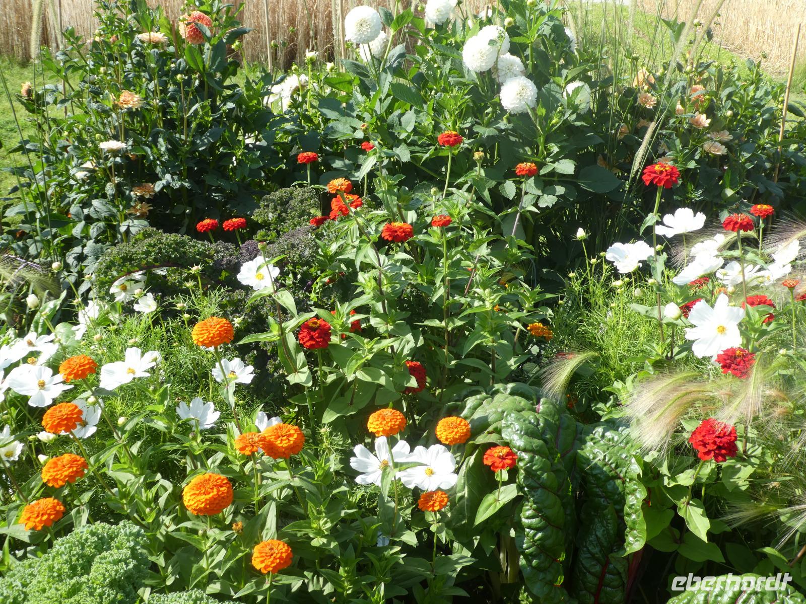 Bundesgartenschau Heilbronn &ndash; &copy; Kerstin Hugel (Eberhardt TRAVEL)