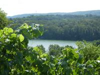 Naturpark Stromberg &ndash; &copy; Kerstin Hugel (Eberhardt TRAVEL)