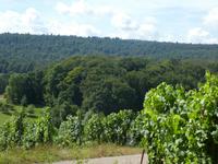 Naturpark Stromberg &ndash; &copy; Kerstin Hugel (Eberhardt TRAVEL)