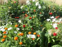 Bundesgartenschau Heilbronn &ndash; &copy; Kerstin Hugel (Eberhardt TRAVEL)