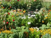 Bundesgartenschau Heilbronn &ndash; &copy; Kerstin Hugel (Eberhardt TRAVEL)