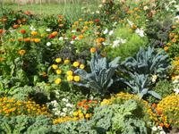 Bundesgartenschau Heilbronn &ndash; &copy; Kerstin Hugel (Eberhardt TRAVEL)