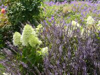 Bundesgartenschau Heilbronn &ndash; &copy; Kerstin Hugel (Eberhardt TRAVEL)
