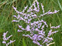 P1120821 &ndash; &copy; Margret van Blokland (Eberhardt TRAVEL)