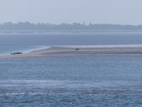 P1120882 &ndash; &copy; Margret van Blokland (Eberhardt TRAVEL)
